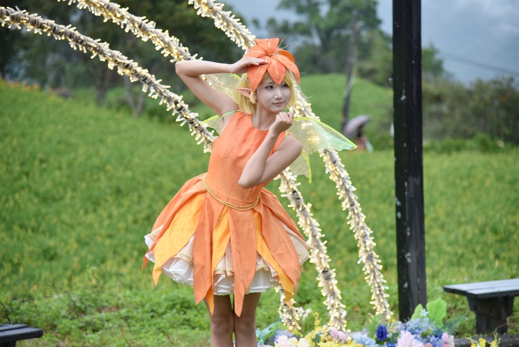 花蓮富里鄉2天1夜｜六十石山金針花季 里山-竹香物語體驗 稻