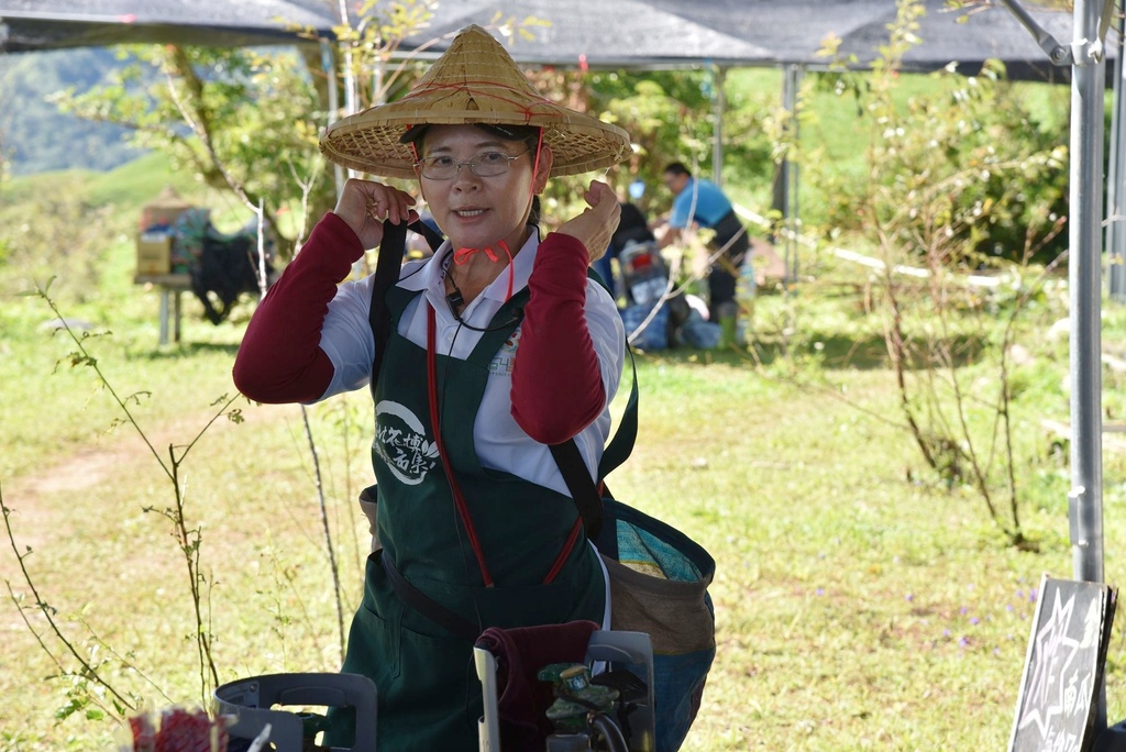 花蓮富里鄉2天1夜｜六十石山金針花季 里山-竹香物語體驗 稻