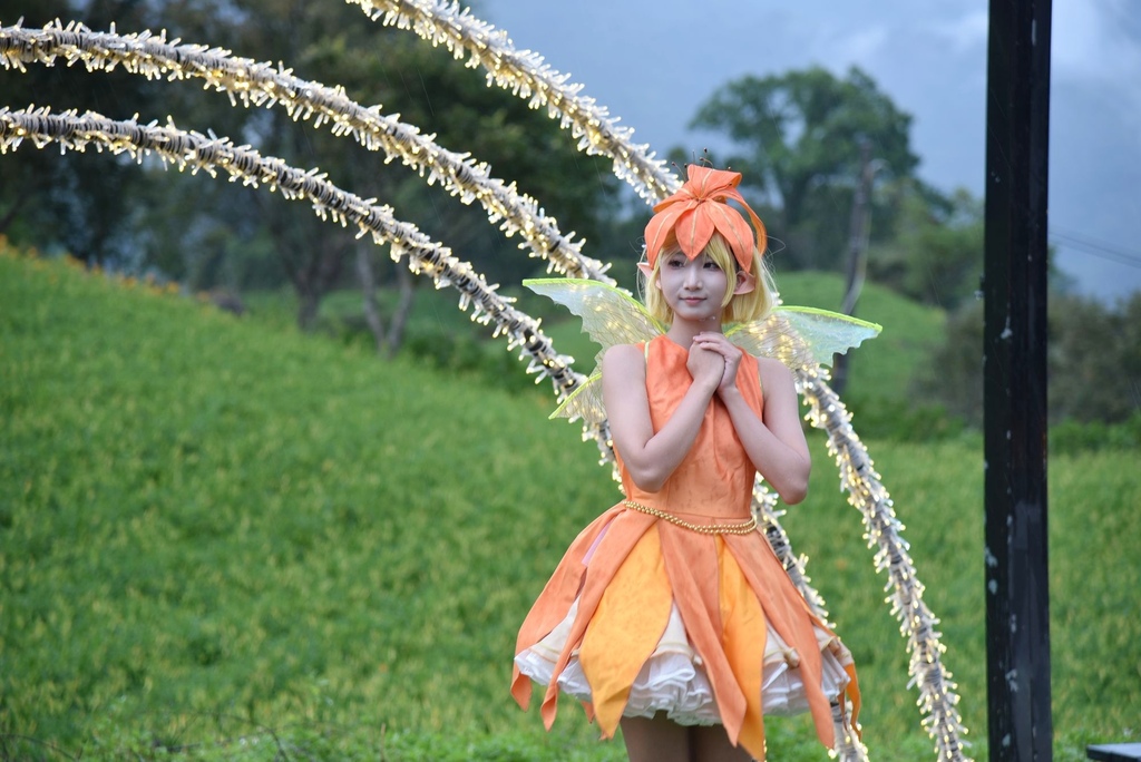 花蓮富里鄉2天1夜｜六十石山金針花季 里山-竹香物語體驗 稻