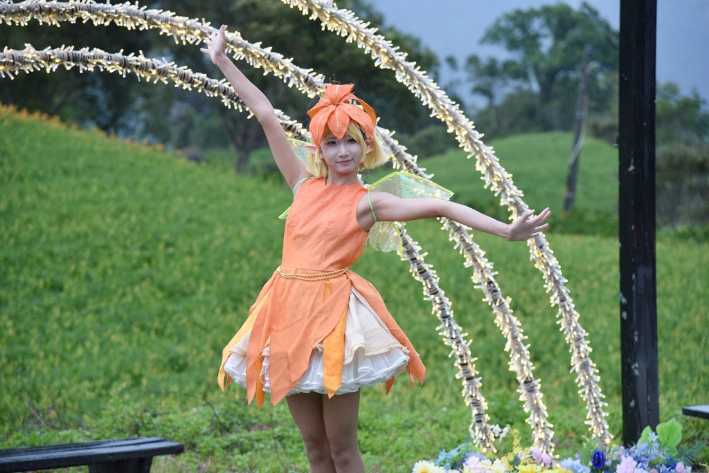 花蓮富里鄉2天1夜｜六十石山金針花季 里山-竹香物語體驗 稻