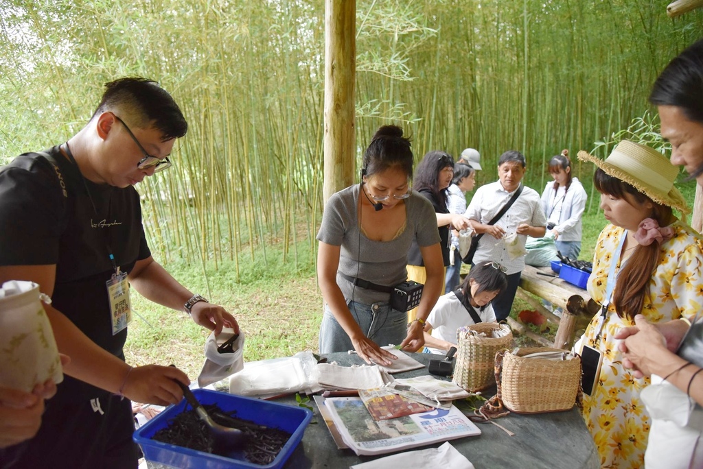 花蓮富里鄉2天1夜｜六十石山金針花季 里山-竹香物語體驗 稻