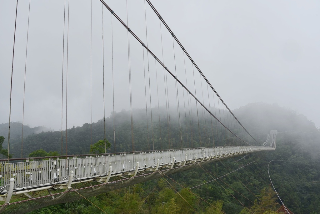 嘉義梅山一日遊行程推薦｜金牌農村太平社區 太平雲梯 太平老街