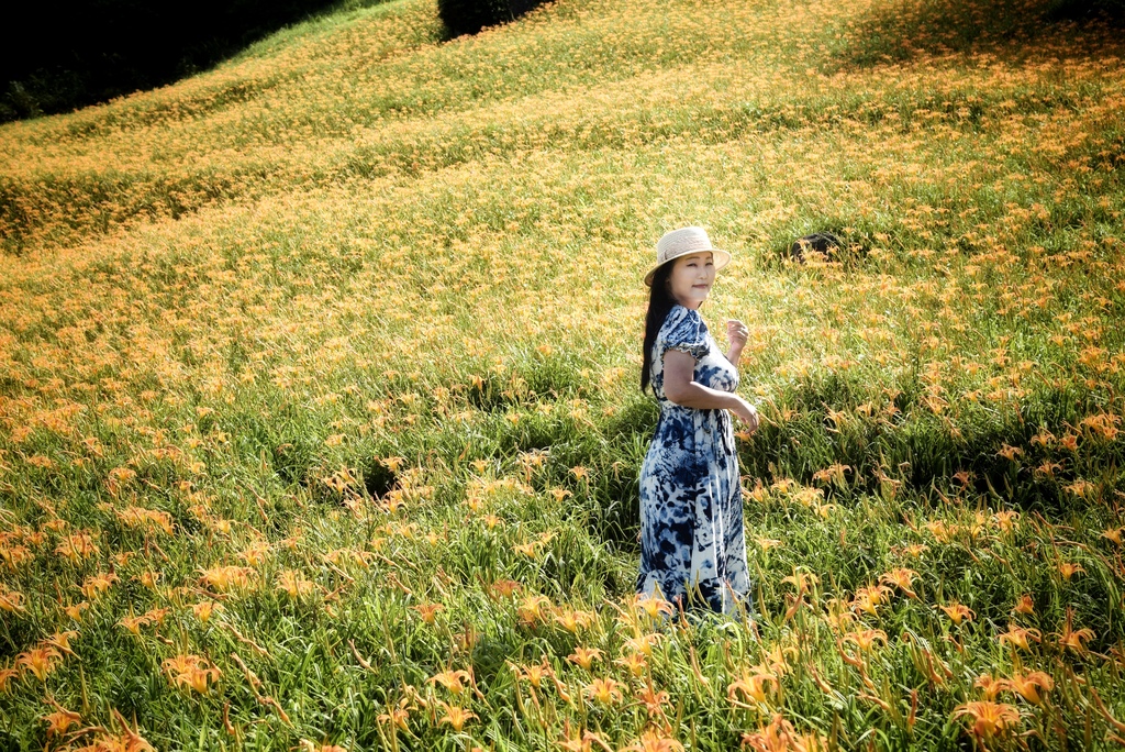 花蓮富里鄉2天1夜｜六十石山金針花季 里山-竹香物語體驗 稻