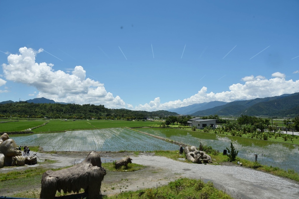 花蓮富里鄉2天1夜｜六十石山金針花季 里山-竹香物語體驗 稻