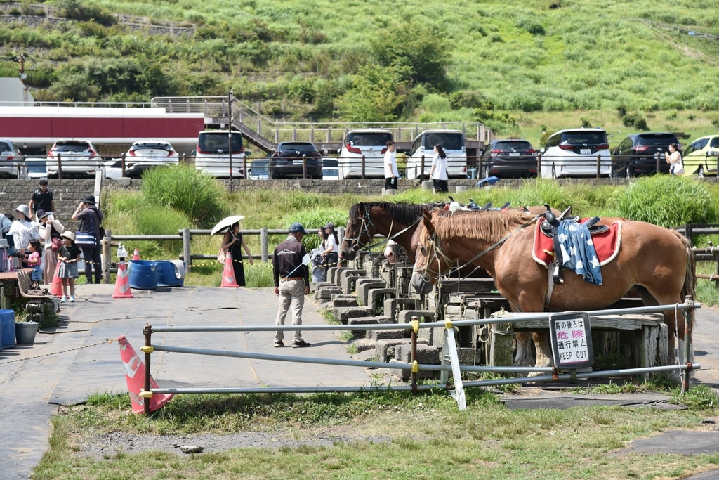 日本旅遊包車首選|BBC青鳥日本包車 專業中日文雙語司機 價