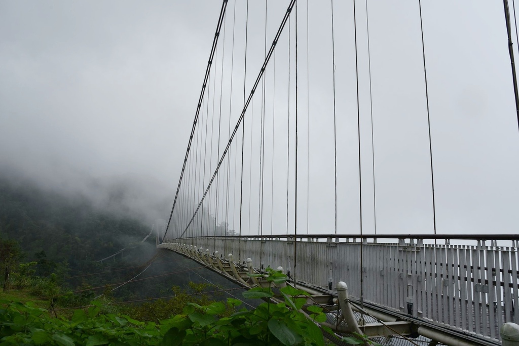 嘉義梅山一日遊行程推薦｜金牌農村太平社區 太平雲梯 太平老街