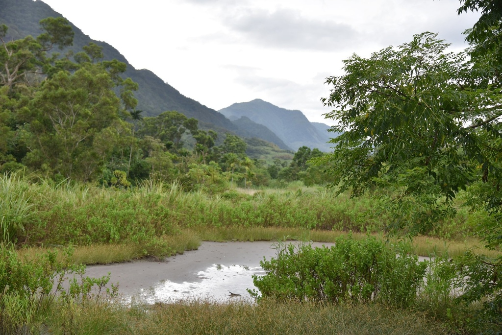 花蓮富里鄉2天1夜｜六十石山金針花季 里山-竹香物語體驗 稻