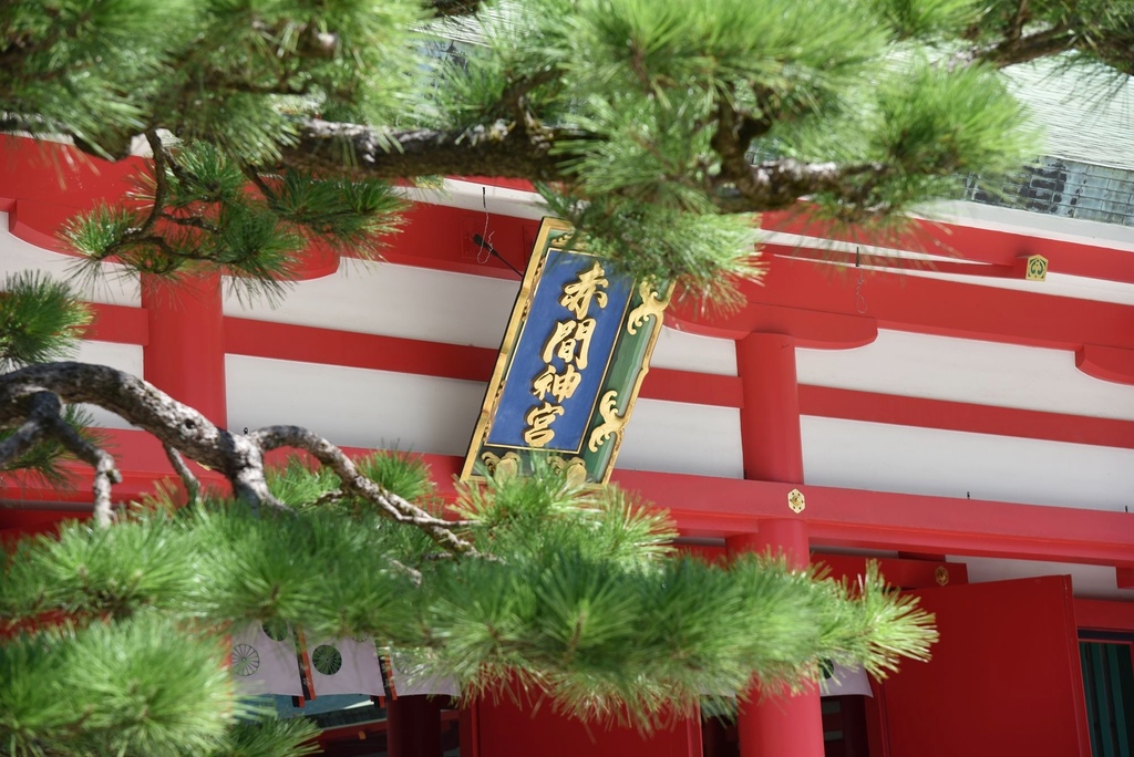 日本旅遊包車首選|BBC青鳥日本包車 專業中日文雙語司機 價