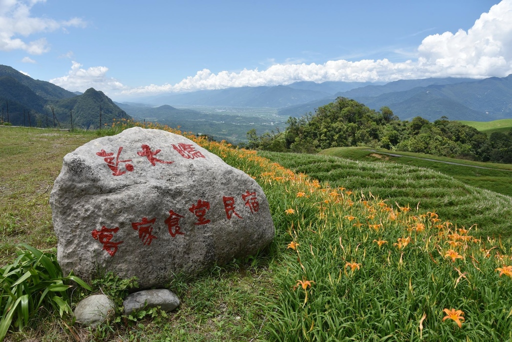 花蓮富里鄉2天1夜｜六十石山金針花季 里山-竹香物語體驗 稻