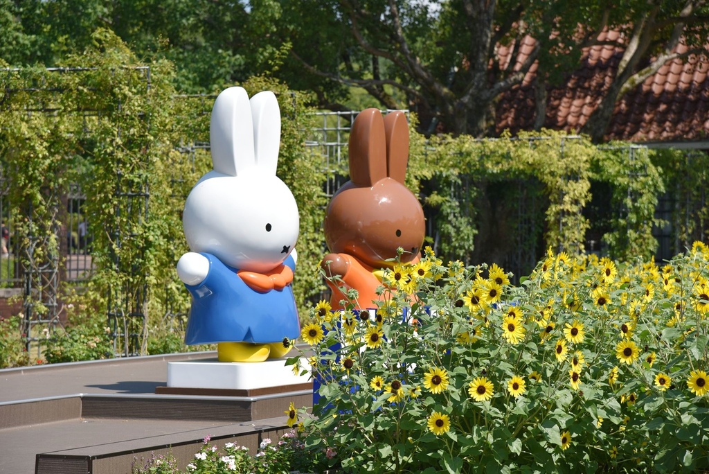 日本旅遊包車首選|BBC青鳥日本包車 專業中日文雙語司機 價