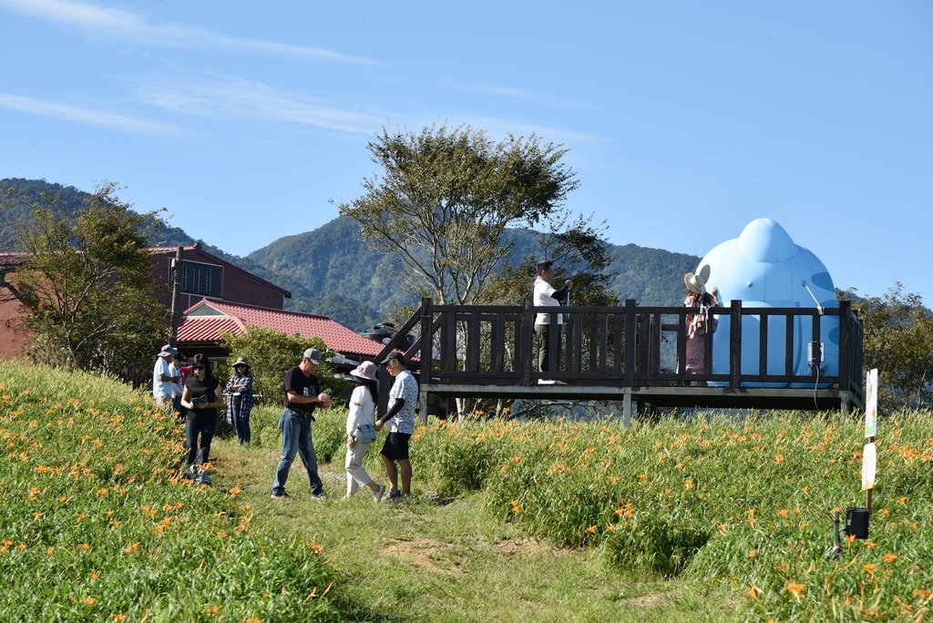花蓮富里鄉2天1夜｜六十石山金針花季 里山-竹香物語體驗 稻