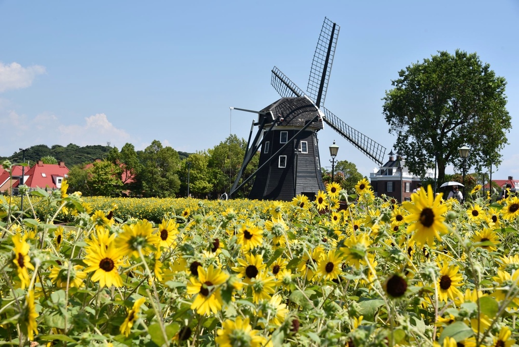 日本旅遊包車首選|BBC青鳥日本包車 專業中日文雙語司機 價
