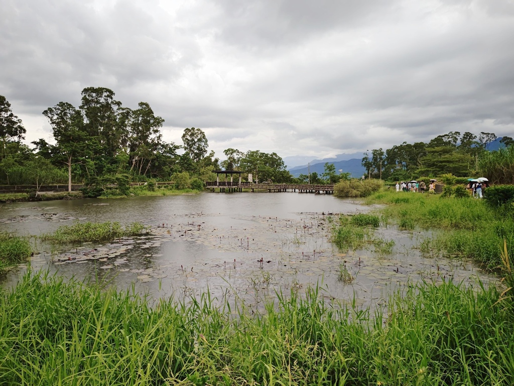 花蓮富里鄉2天1夜｜六十石山金針花季 里山-竹香物語體驗 稻