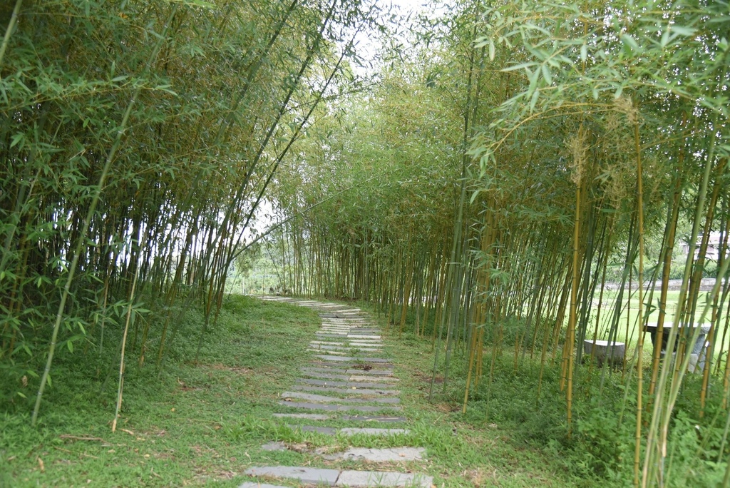 花蓮富里鄉2天1夜｜六十石山金針花季 里山-竹香物語體驗 稻