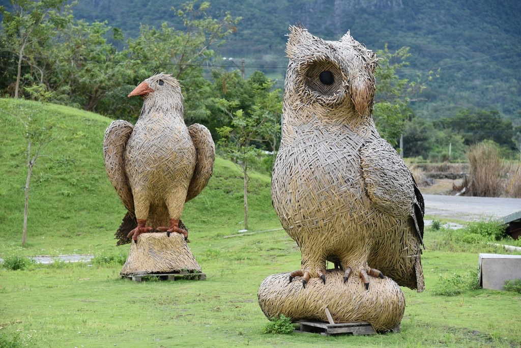 花蓮富里鄉2天1夜｜六十石山金針花季 里山-竹香物語體驗 稻