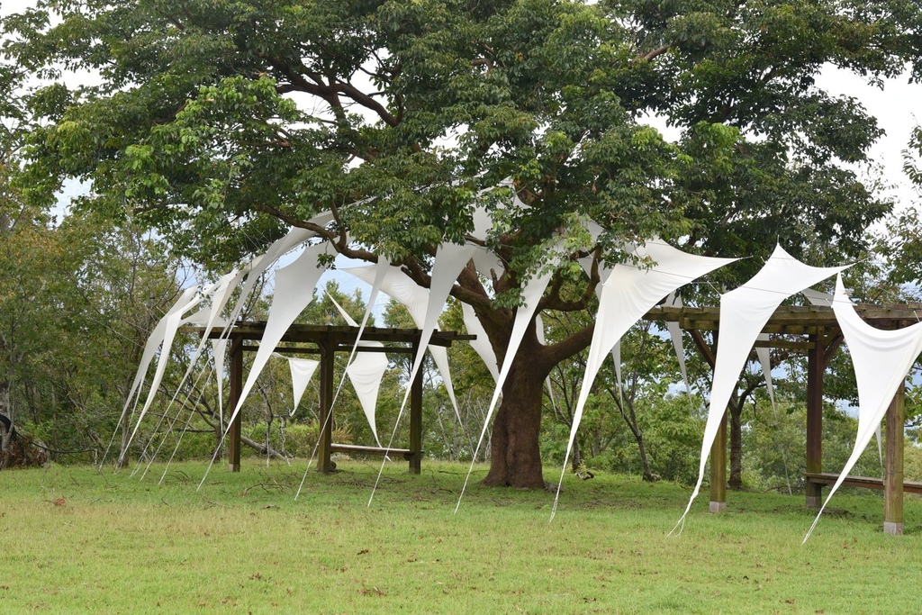 花蓮富里鄉2天1夜｜六十石山金針花季 里山-竹香物語體驗 稻