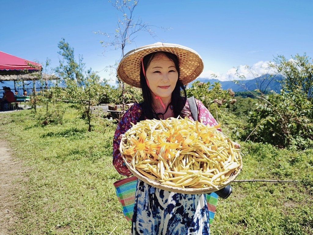 花蓮富里鄉2天1夜｜六十石山金針花季 里山-竹香物語體驗 稻