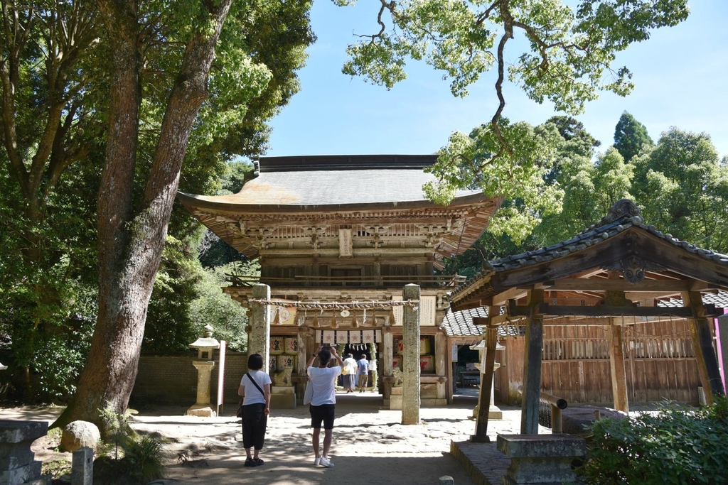 日本旅遊包車首選|BBC青鳥日本包車 專業中日文雙語司機 價