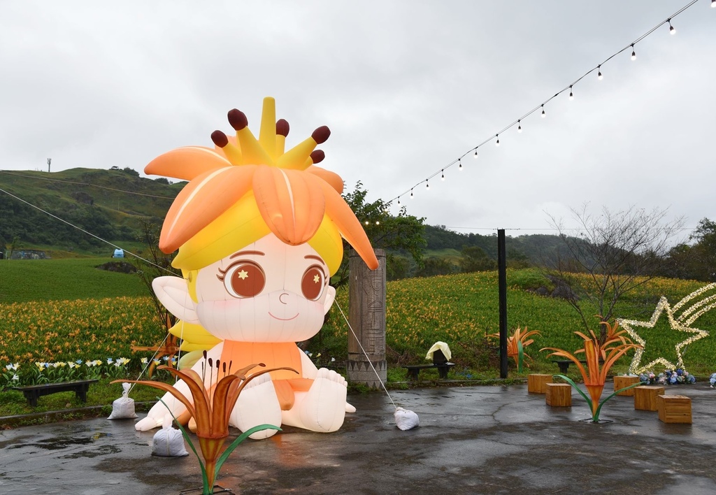 花蓮富里鄉2天1夜｜六十石山金針花季 里山-竹香物語體驗 稻