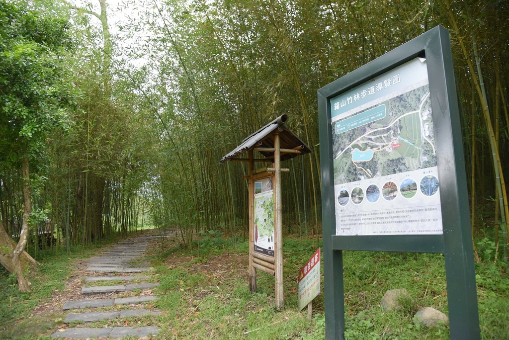 花蓮富里鄉2天1夜｜六十石山金針花季 里山-竹香物語體驗 稻