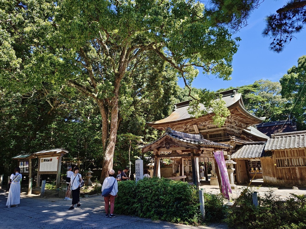 日本旅遊包車首選|BBC青鳥日本包車 專業中日文雙語司機 價