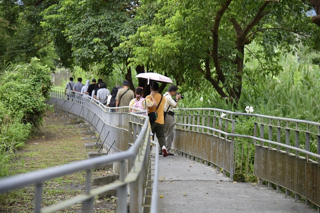花蓮富里鄉2天1夜｜六十石山金針花季 里山-竹香物語體驗 稻