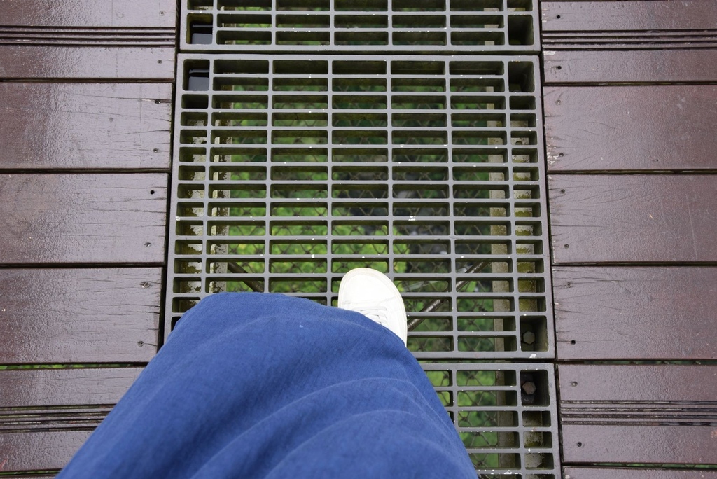 嘉義梅山一日遊行程推薦｜金牌農村太平社區 太平雲梯 太平老街