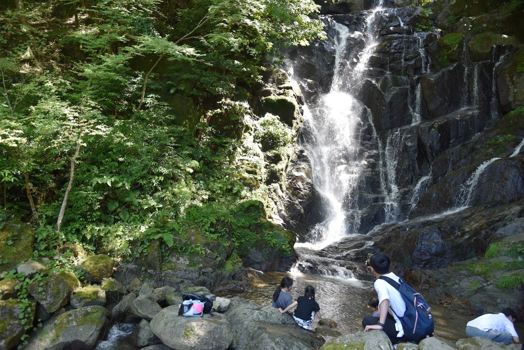 日本旅遊包車首選|BBC青鳥日本包車 專業中日文雙語司機 價