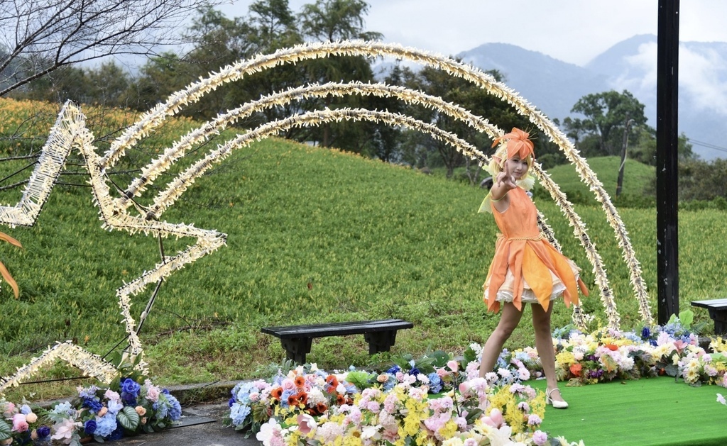 花蓮富里鄉2天1夜｜六十石山金針花季 里山-竹香物語體驗 稻