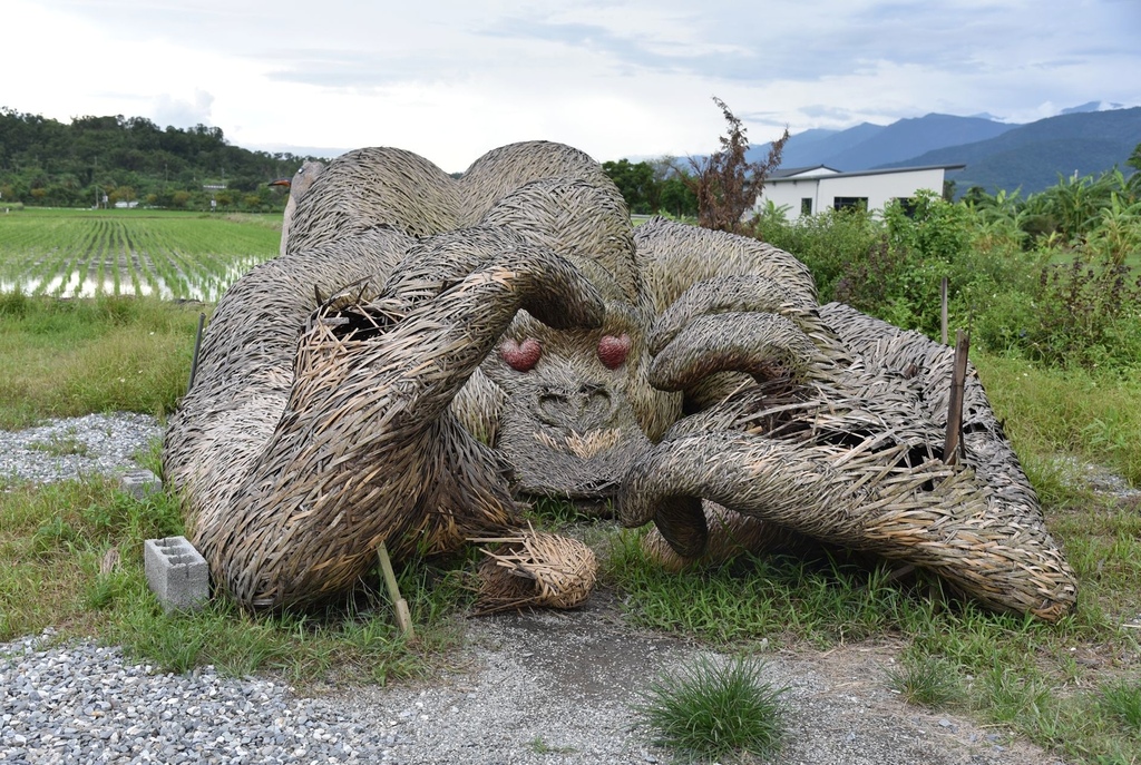 花蓮富里鄉2天1夜｜六十石山金針花季 里山-竹香物語體驗 稻