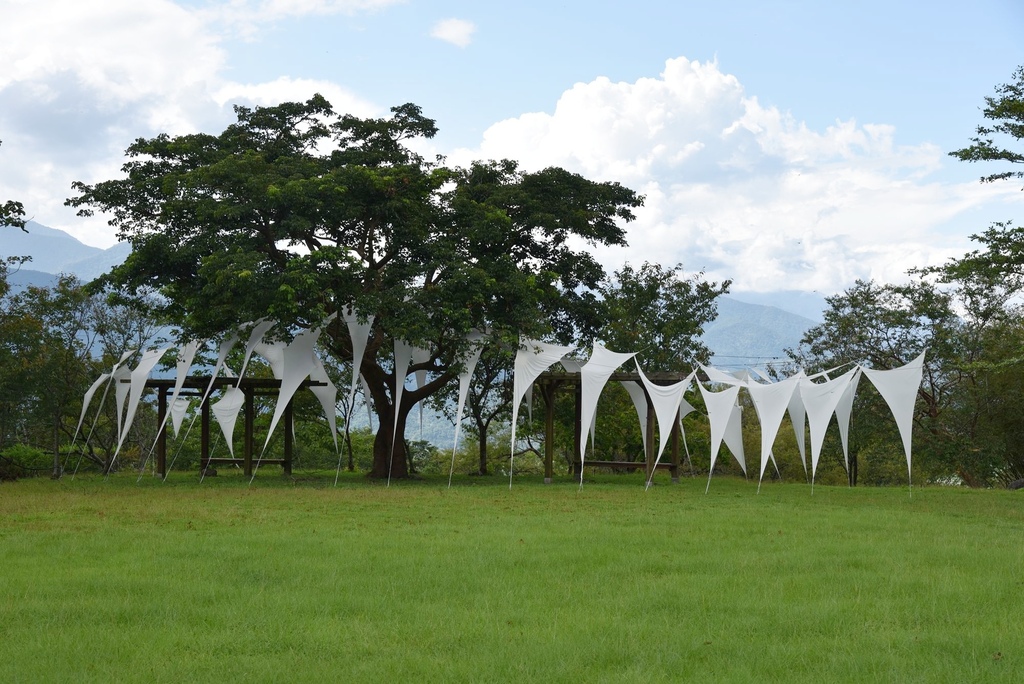 花蓮富里鄉2天1夜｜六十石山金針花季 里山-竹香物語體驗 稻