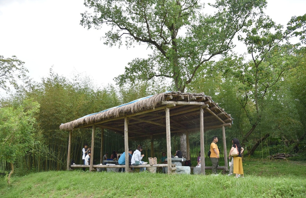 花蓮富里鄉2天1夜｜六十石山金針花季 里山-竹香物語體驗 稻