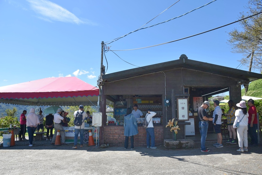花蓮富里鄉2天1夜｜六十石山金針花季 里山-竹香物語體驗 稻