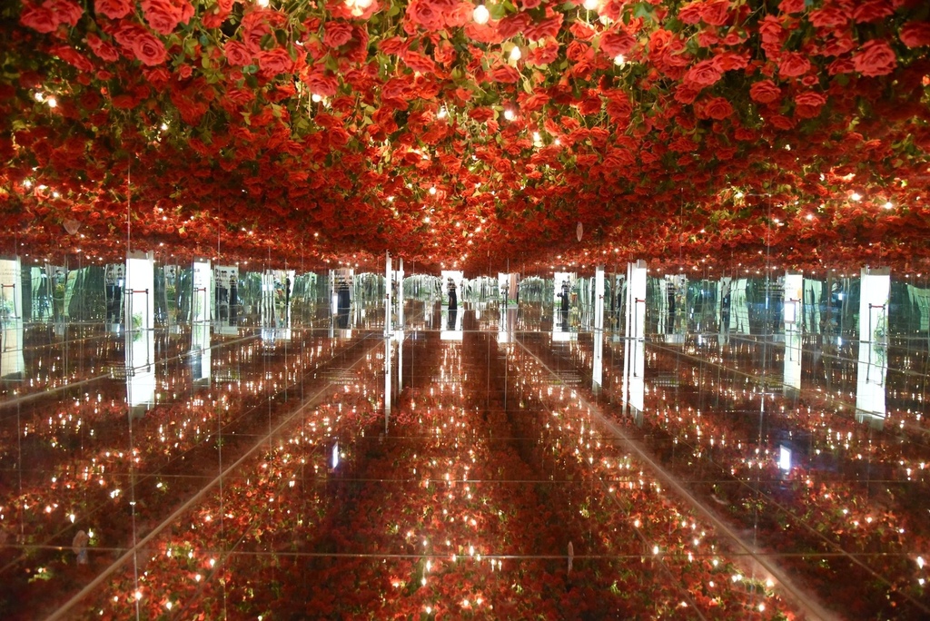 嘉義梅山一日遊行程推薦｜金牌農村太平社區 太平雲梯 太平老街