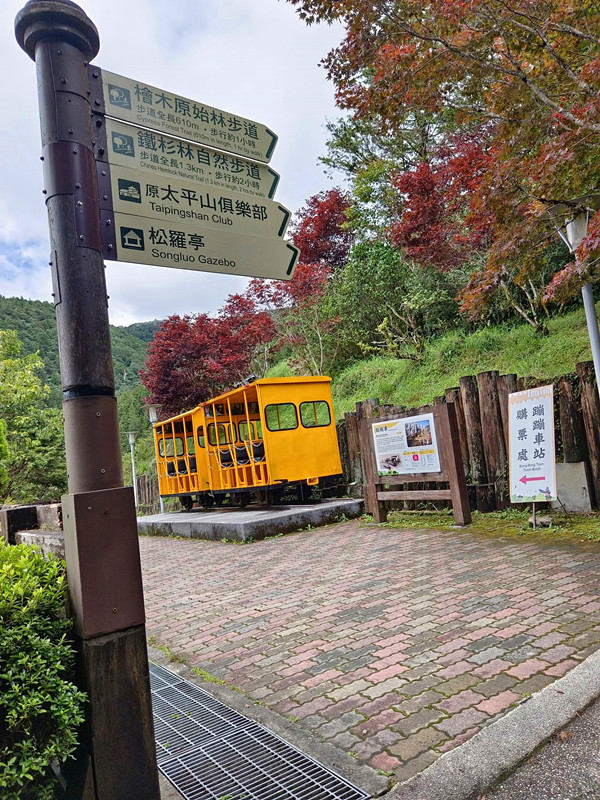 夏天避暑秘境！太平山蹦蹦車超值80元搭乘森林小火車，天然冷氣吃到飽。