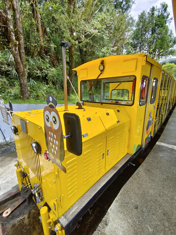 夏天避暑秘境！太平山蹦蹦車超值80元搭乘森林小火車，天然冷氣吃到飽。