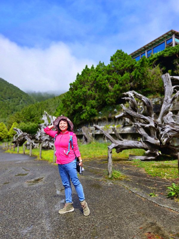 夏天避暑秘境！太平山蹦蹦車超值80元搭乘森林小火車，天然冷氣吃到飽。