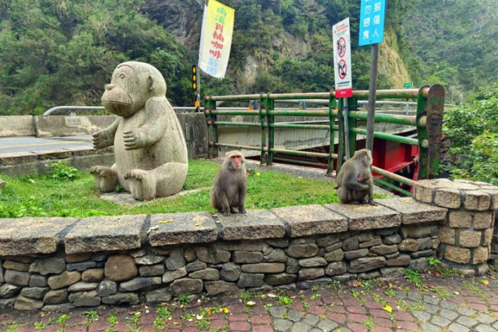 夏天避暑秘境！太平山蹦蹦車超值80元搭乘森林小火車，天然冷氣吃到飽。