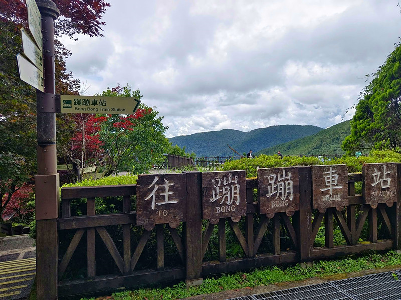 夏天避暑秘境！太平山蹦蹦車超值80元搭乘森林小火車，天然冷氣吃到飽。