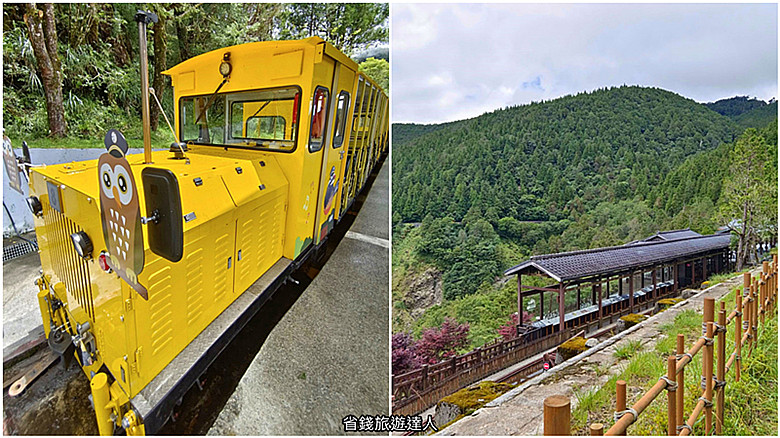 夏天避暑秘境！太平山蹦蹦車超值80元搭乘森林小火車，天然冷氣吃到飽。