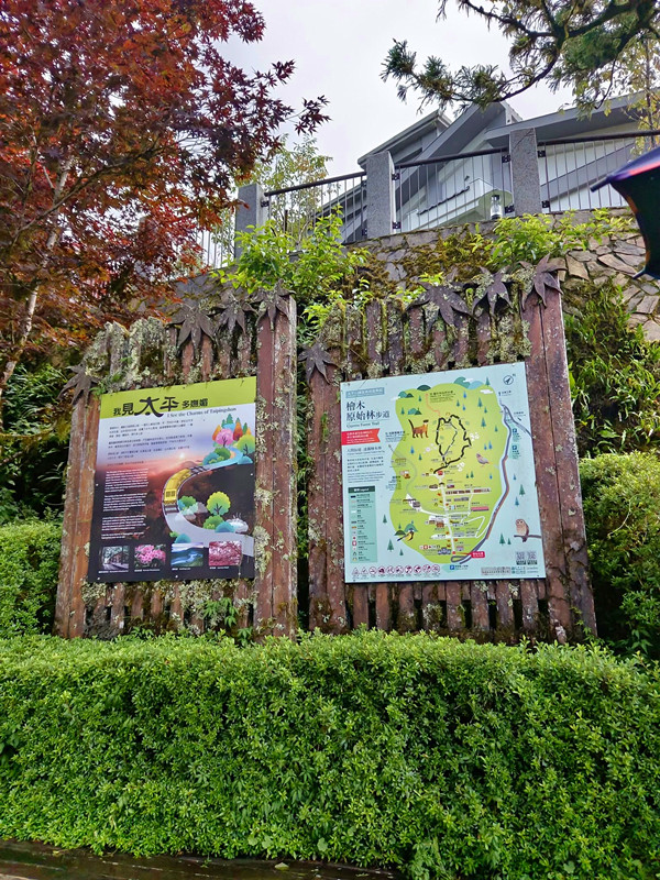 夏天避暑秘境！太平山蹦蹦車超值80元搭乘森林小火車，天然冷氣吃到飽。