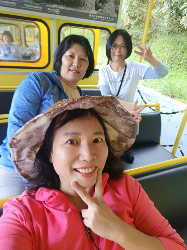 夏天避暑秘境！太平山蹦蹦車超值80元搭乘森林小火車，天然冷氣吃到飽。