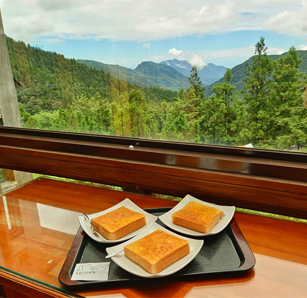 夏天避暑秘境！太平山蹦蹦車超值80元搭乘森林小火車，天然冷氣吃到飽。