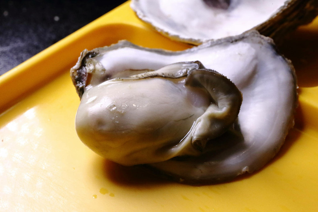 台北好逛的商圈推薦，假日不怕沒地方去〜2025大正町藝術祭：