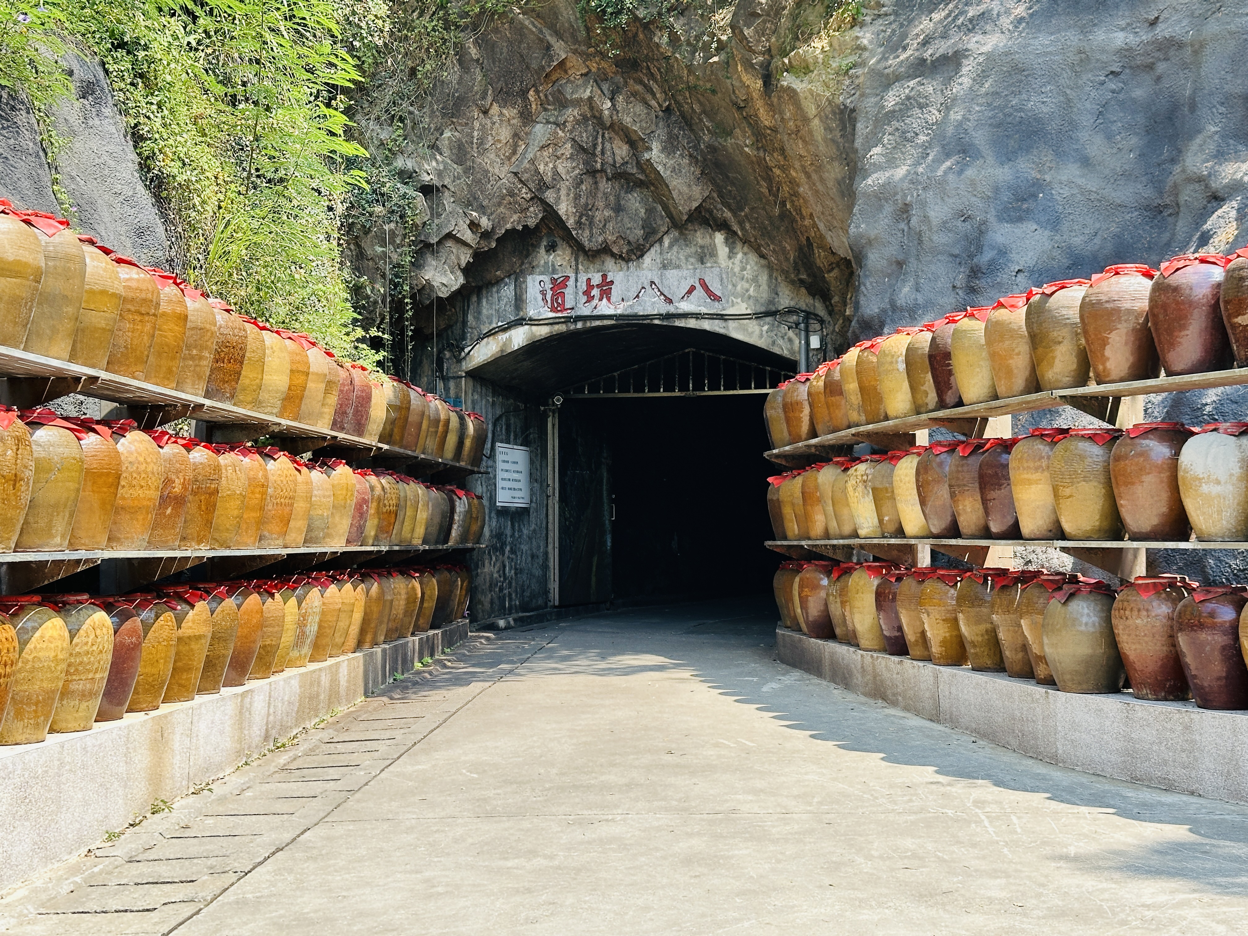 2025馬祖國際藝術島官方一日遊｜藍色創藝航線深度體驗攻略＋