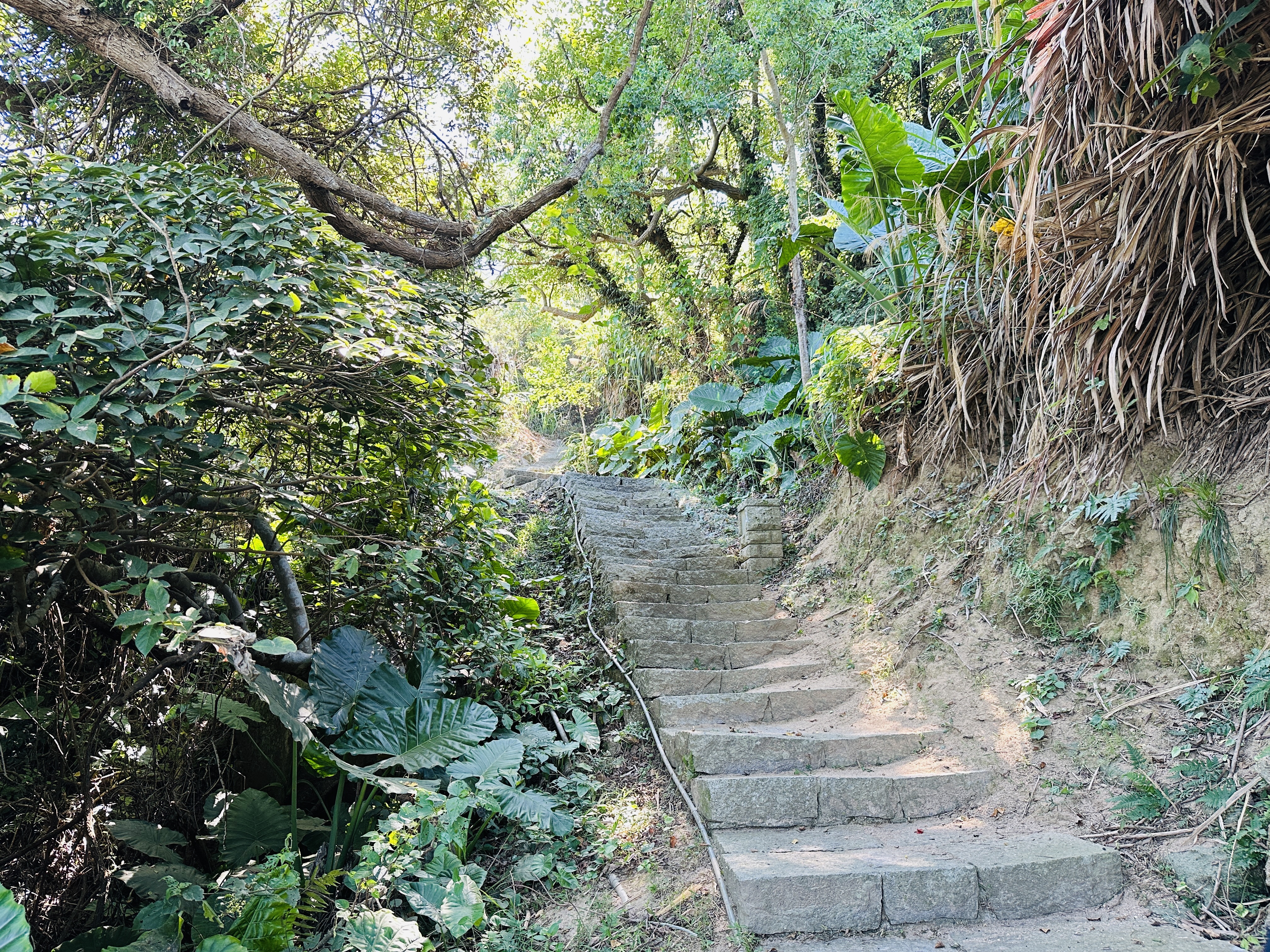 【2025馬祖漫島生活｜尋步馬祖GO! 踩點活動體驗】北竿芹