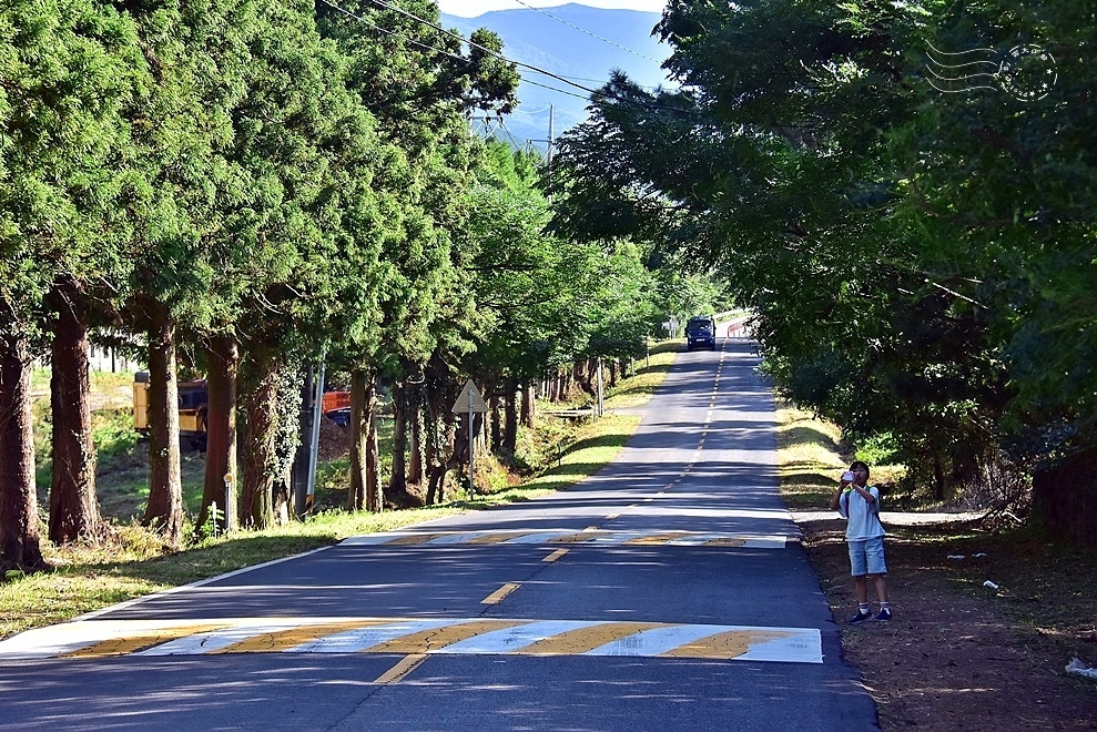 濟州島【神奇之路】