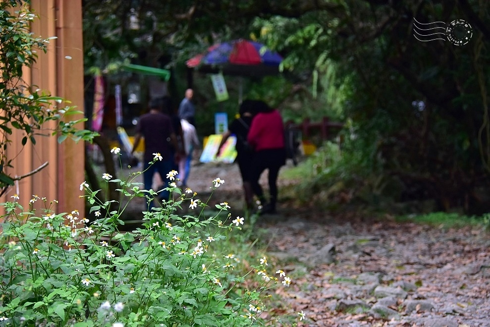 【猴洞坑瀑布】入口