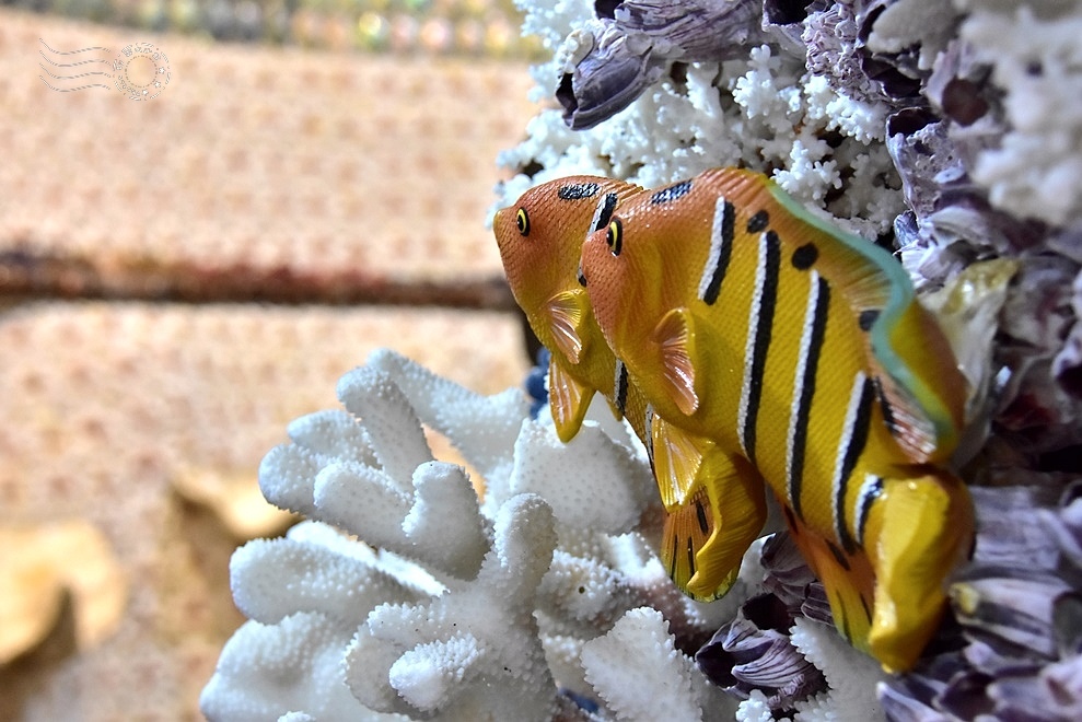 【石門珊瑚貝殼廟】十八羅漢洞