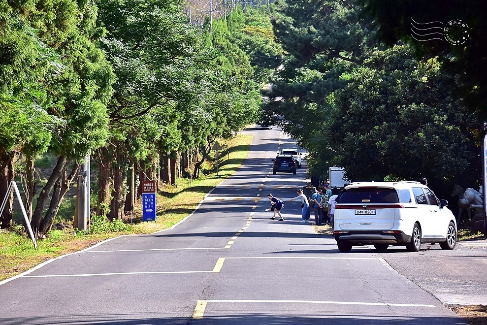 濟州島【神奇之路】